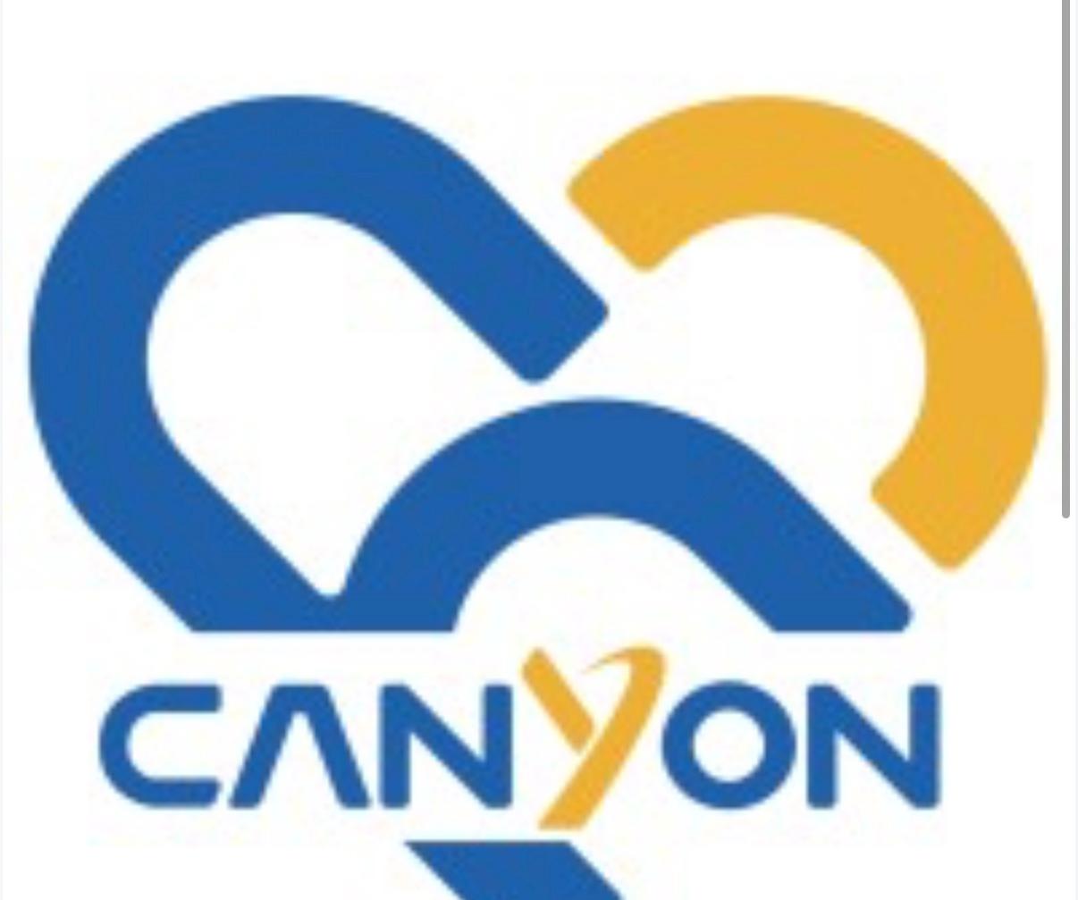 Canyon Microwave Ablation Antenna